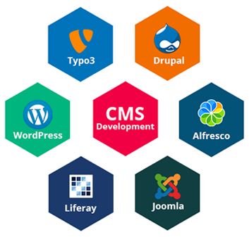 CMS Software Development